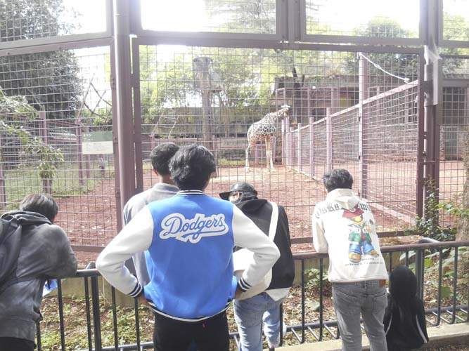 水野外語学院 上野動物園見学